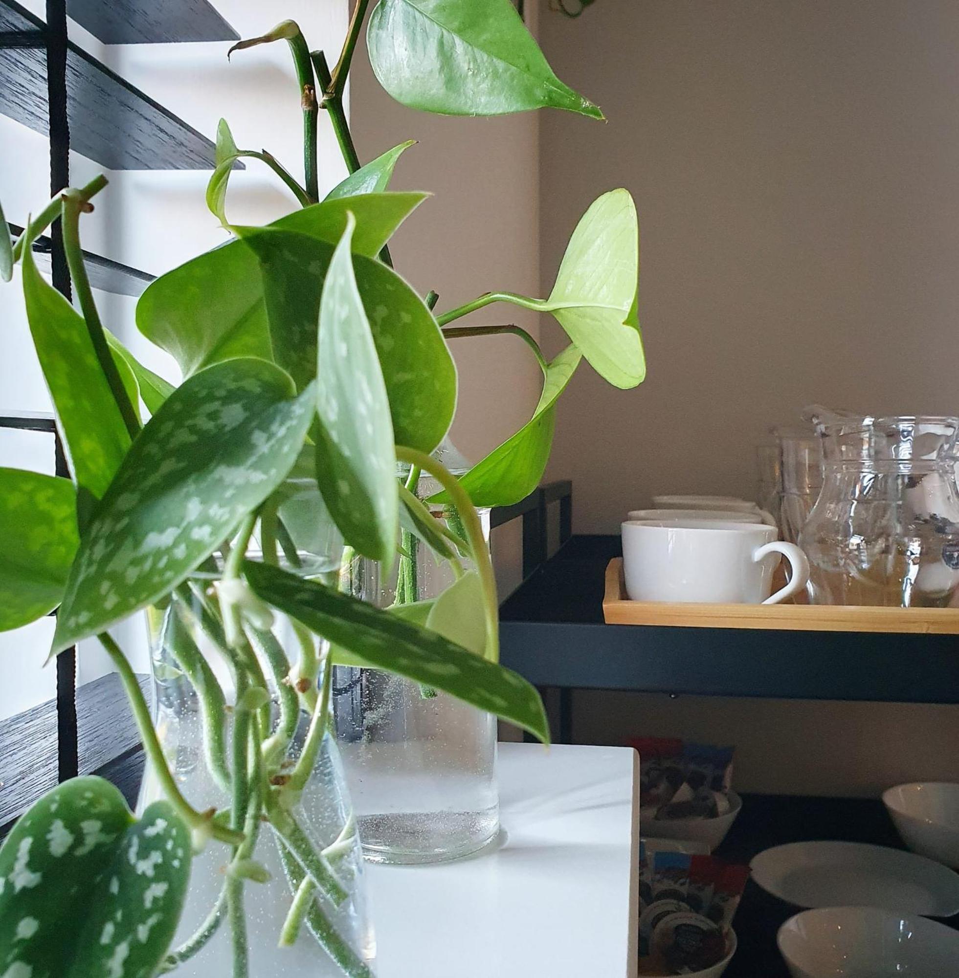 Bed And Breakfast 'Wij En De Zande' - Kamer Met Vide Kamperveen Εξωτερικό φωτογραφία